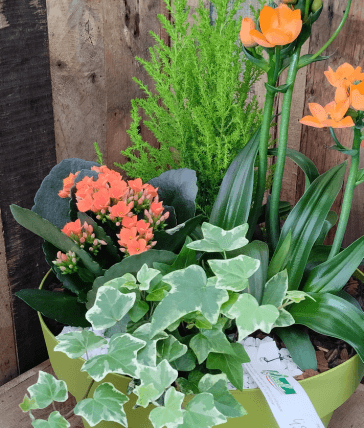 7 fleurissement pierre tombale